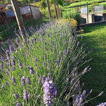 פונטרמולי Casa Vacanze La Cicala מראה חיצוני תמונה