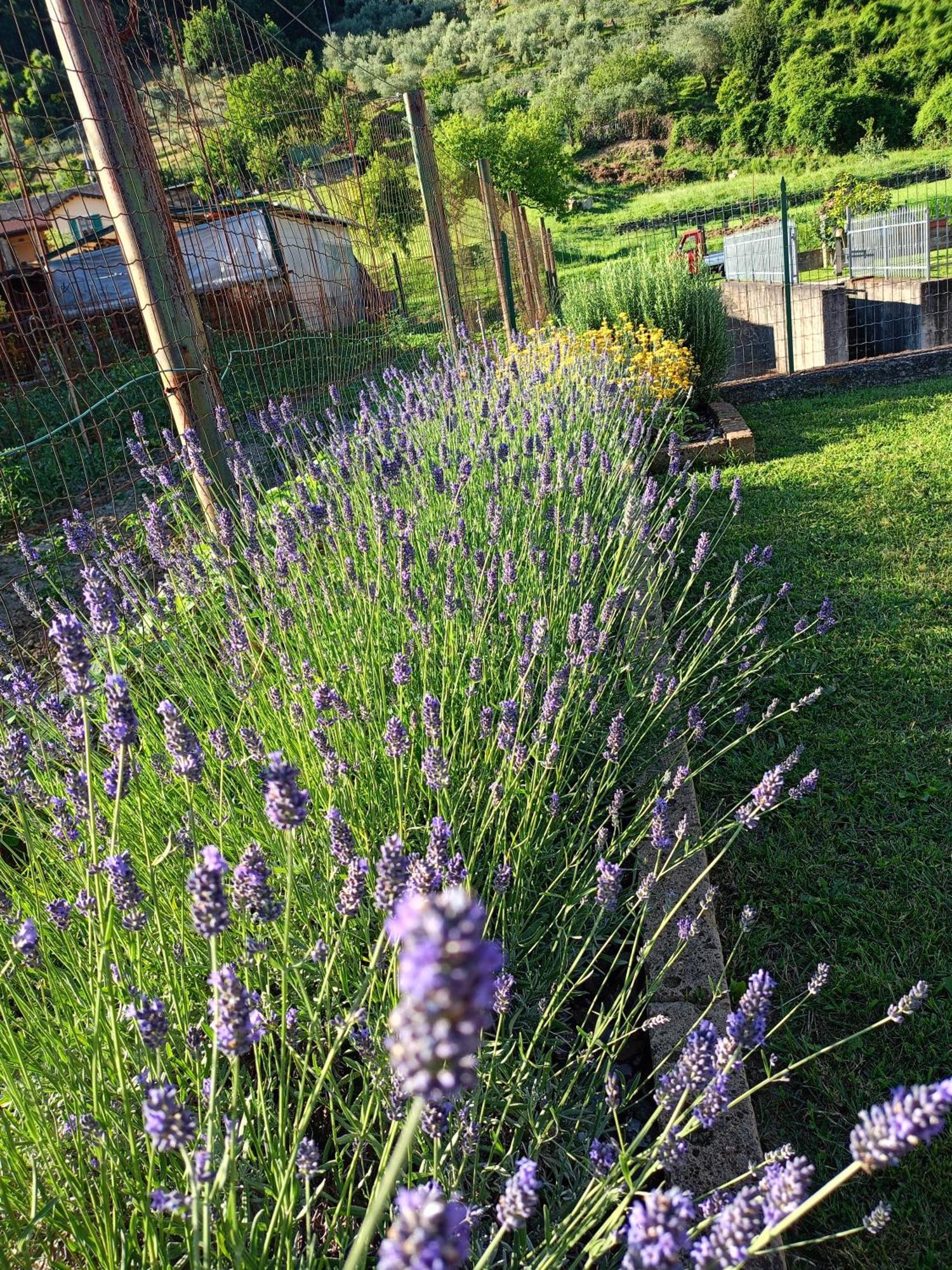 פונטרמולי Casa Vacanze La Cicala מראה חיצוני תמונה